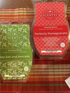 Scentsy Bricks - Perfectly Pomegranate *SOLD* and Sea Salt & Avocado